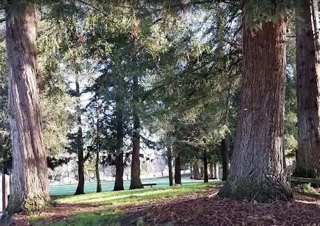 Cuesta Park