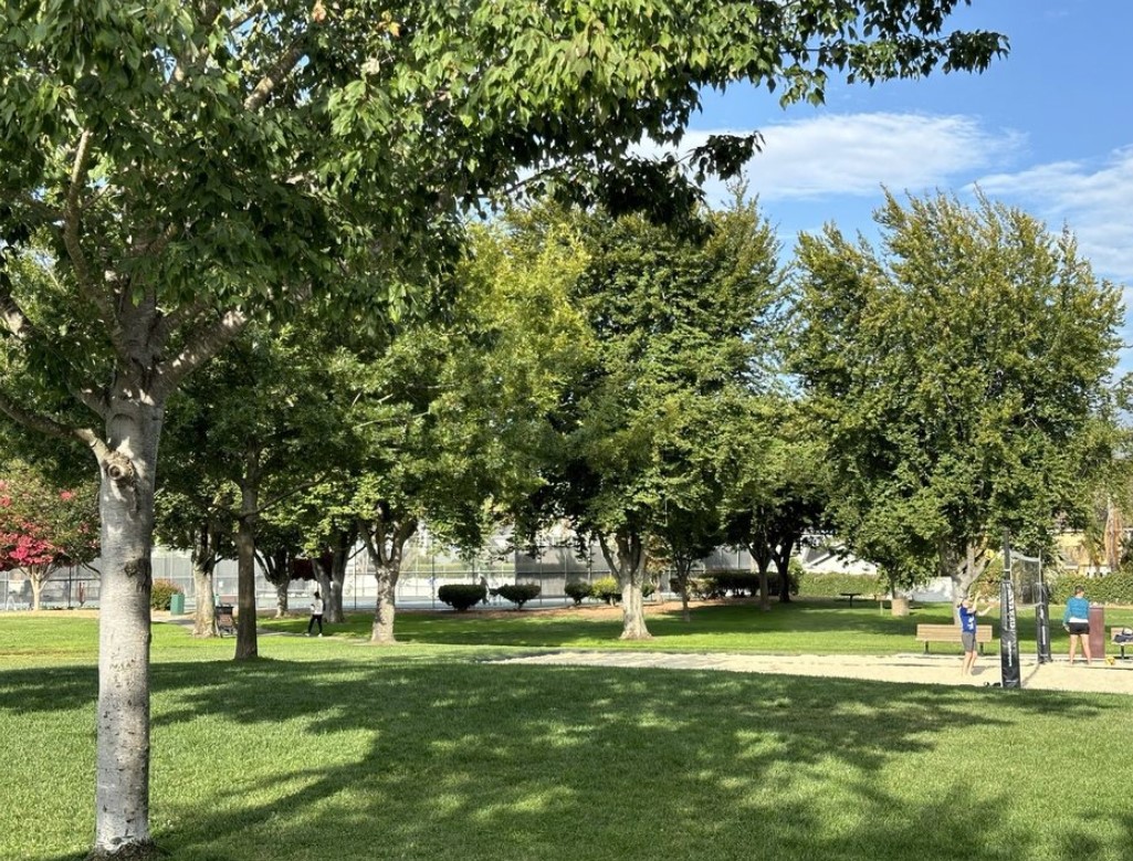 Sylvan Park